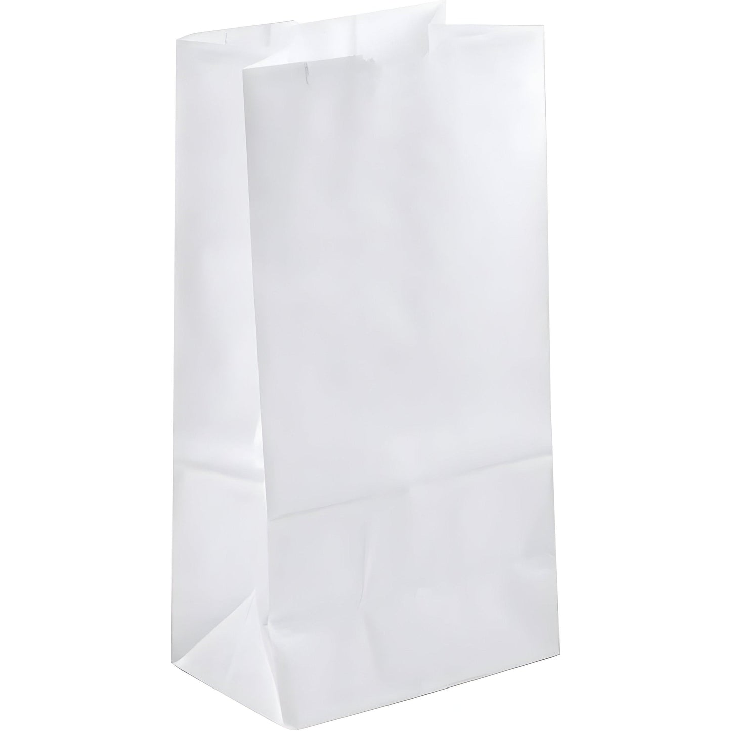 White - #6  [500 ct]