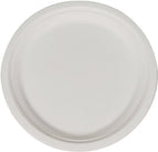 10" Bagasse Dinner Plates